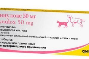 Когато е предписано и как да използвате лекарството за котки sinolcos?